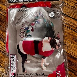 Christmas Pet Outfit